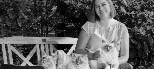 Allergie alimentaire