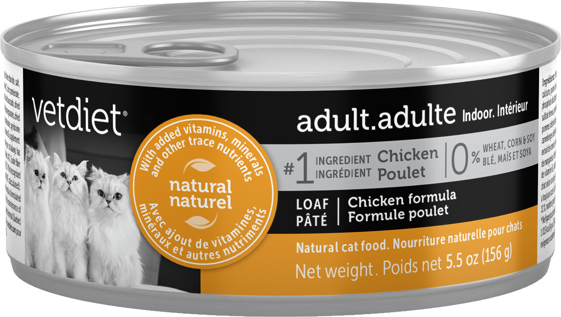 Adult - Indoor