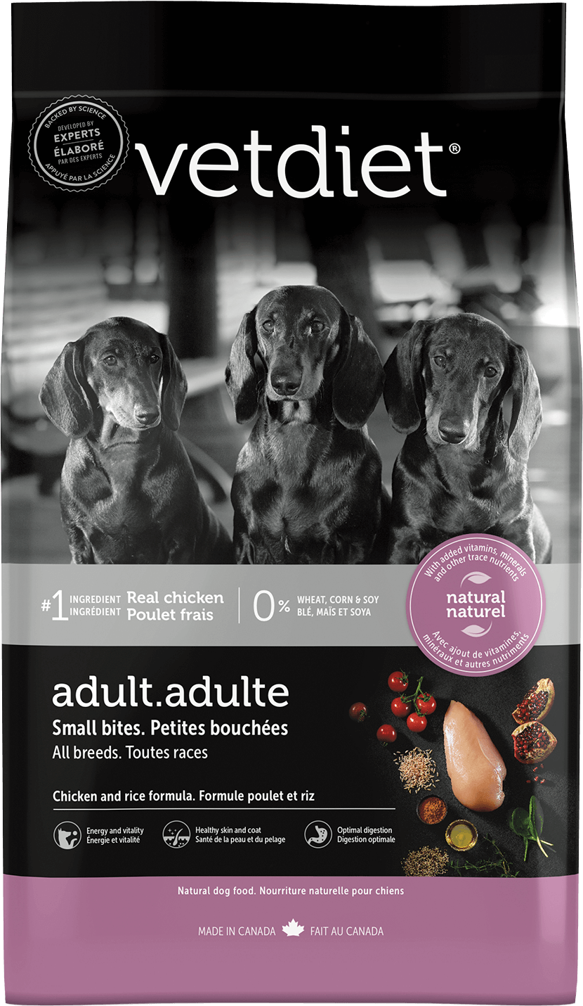 Adulte - Petites bouchées. Toutes races