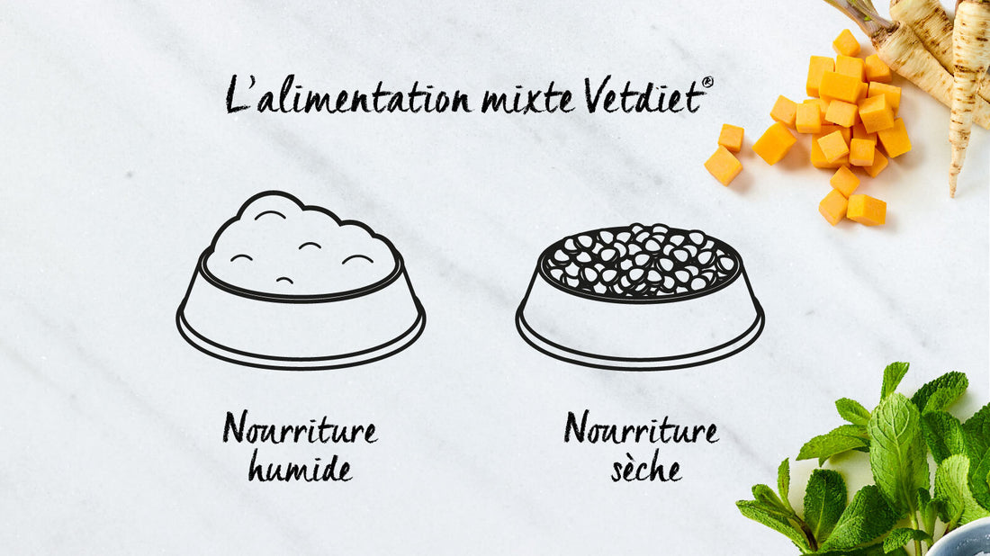 Une alimentation mixte avec les nourritures humides et sèches Vetdiet®