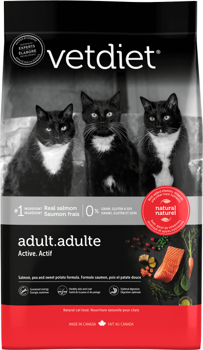 Adulte - Actif