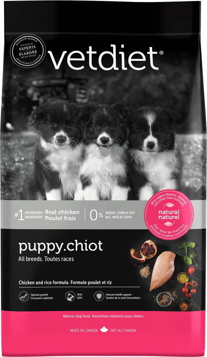 Chiot- Toutes races