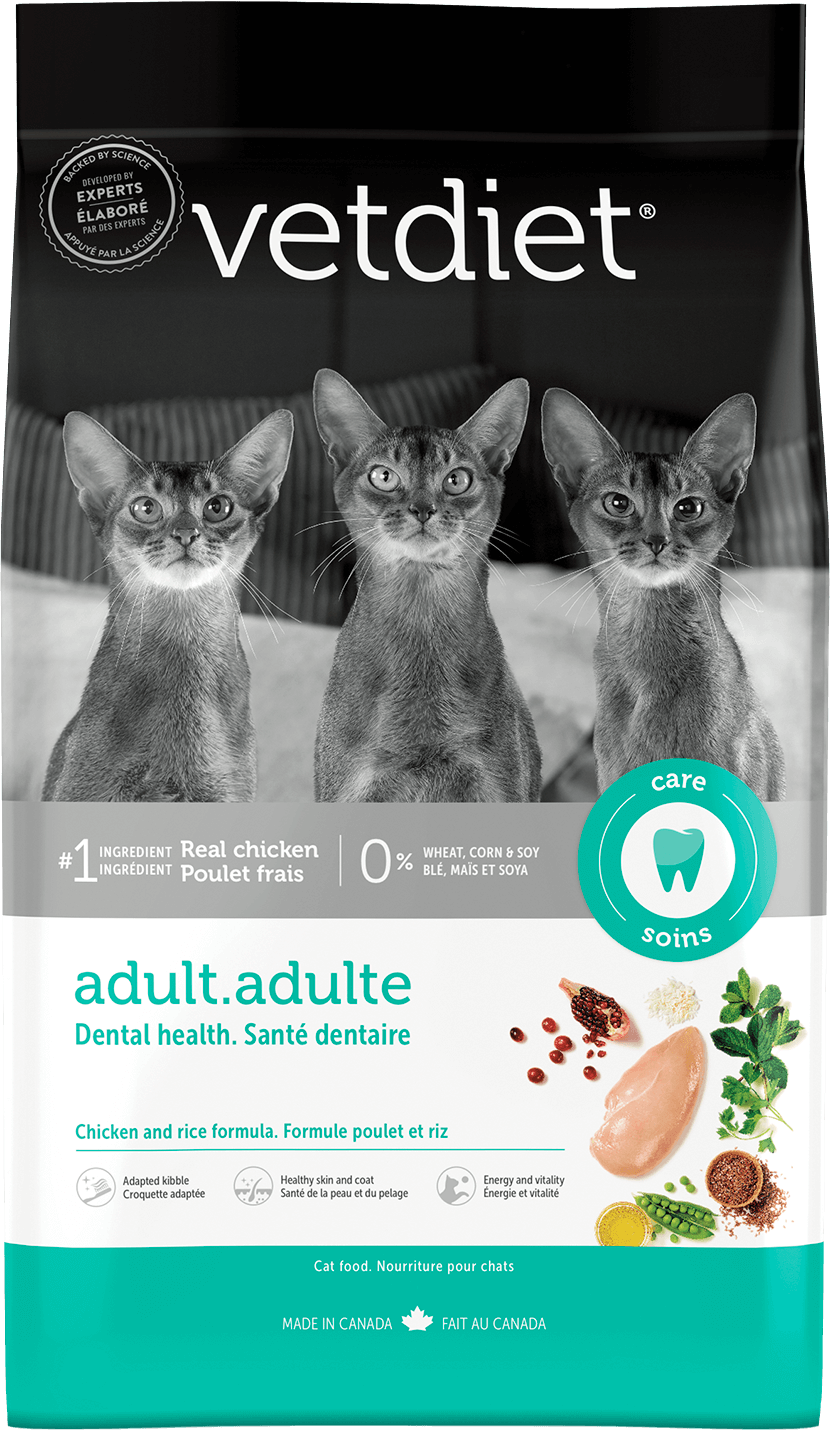 Adult - Dental Health