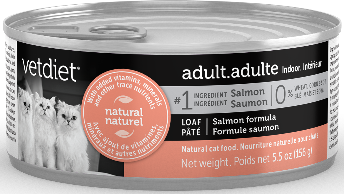 Adult - Indoor Salmon