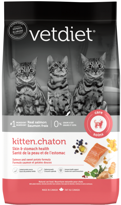 Chaton - Santé de la peau et de l'estomac