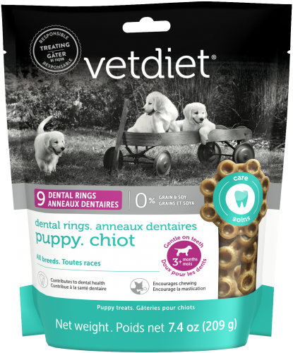 Chiot - Anneaux dentaires