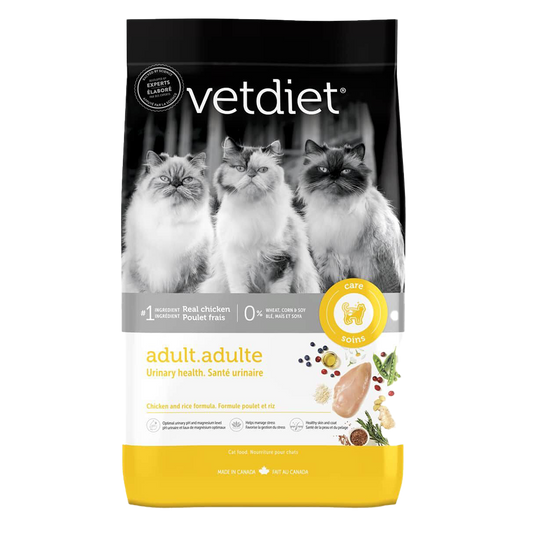 Adult - Dental Health