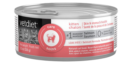 Kitten – Skin and Stomach health