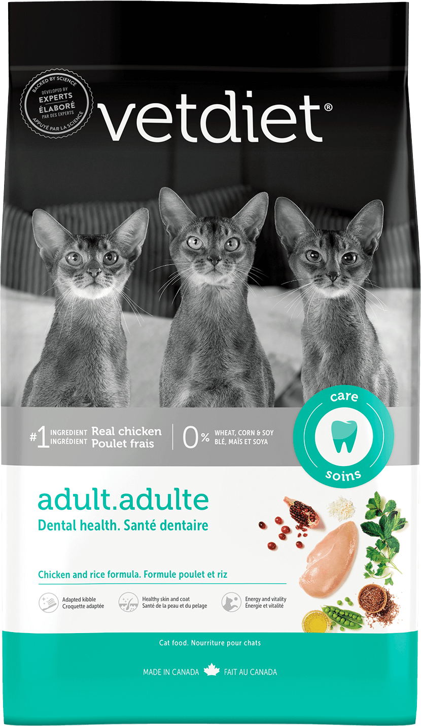 Adult dental health cat food chicken and rice formula Vetdiet
